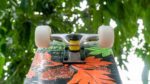 Ván Trượt Skateboard Jocy 03 - Ảnh 4