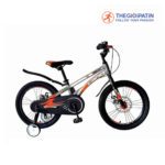 Xe Đạp Trẻ Em LanQ 80 3 Màu Xanh/ Đỏ/ Xám - Ảnh 5