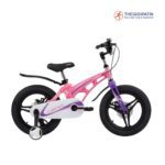 Xe Đạp Trẻ Em LanQ 46 NEW 4 Màu Đen/ Đỏ/ Xanh/ Hồng - Ảnh 6