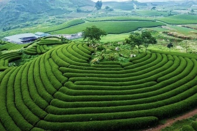 giày patin tại Sơn La