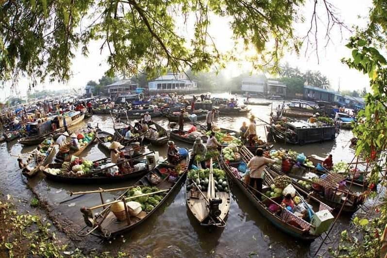 giày patin tại Hậu Giang